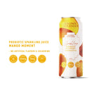 Prebiotic Sparkling Juice - 6 Flavours 24 Bottles - Taste of Awesomeness